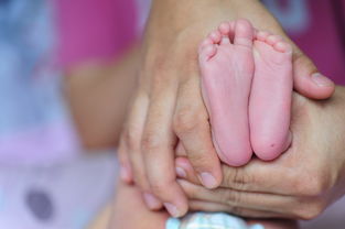 宝宝外耳道湿疹结痂抠破了出血怎么办? 宝宝外耳道湿疹结痂抠破了出血怎么办?
